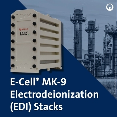 Veolia MK-9 EDI Yığını 35 GPM Ultra Saf Su Güneş PV için